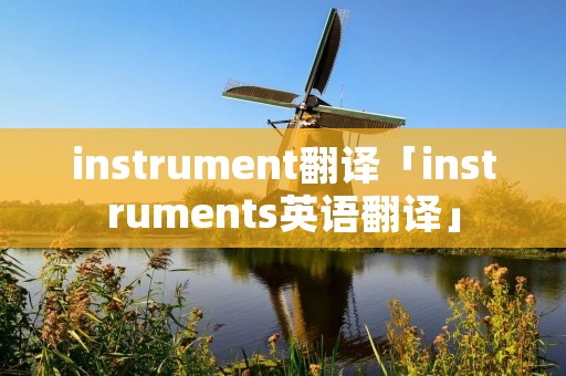 instrument翻译「instruments英语翻译」