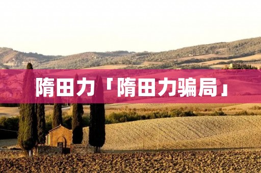 隋田力「隋田力骗局」