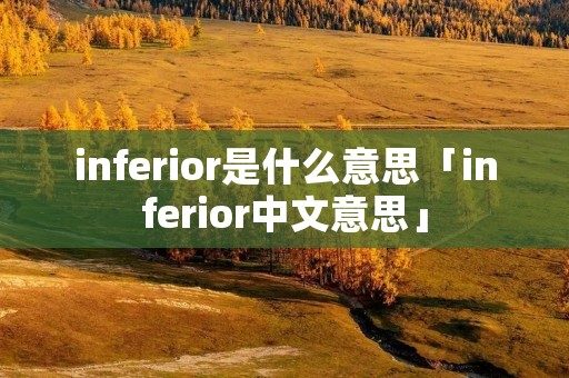 inferior是什么意思「inferior中文意思」