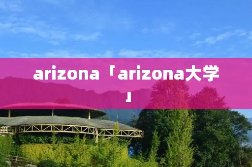 arizona「arizona大学」