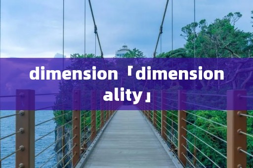 dimension「dimensionality」