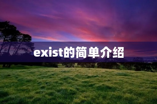 exist的简单介绍 exist的简单介绍