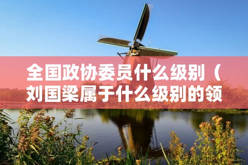 全国政协委员什么级别（刘国梁属于什么级别的领导）