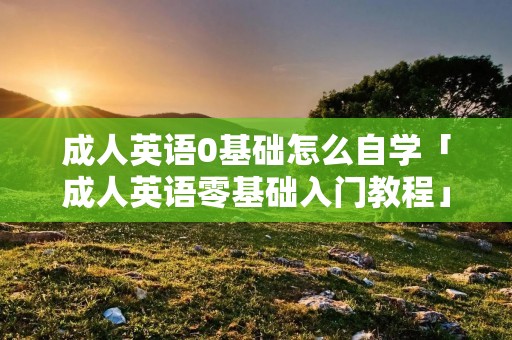 成人英语0基础怎么自学「成人英语零基础入门教程」