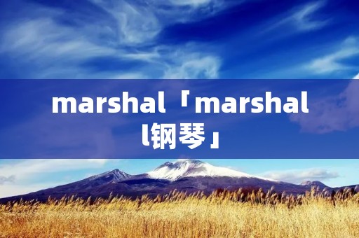 marshal「marshall钢琴」