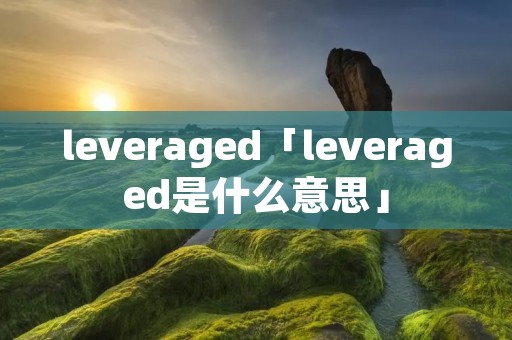 leveraged「leveraged是什么意思」