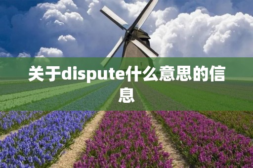 关于dispute什么意思的信息 关于dispute什么意思的信息