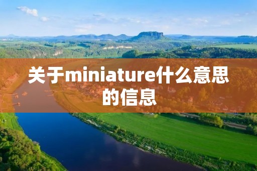 关于miniature什么意思的信息 关于miniature什么意思的信息