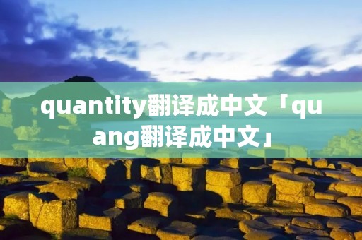quantity翻译成中文「quang翻译成中文」