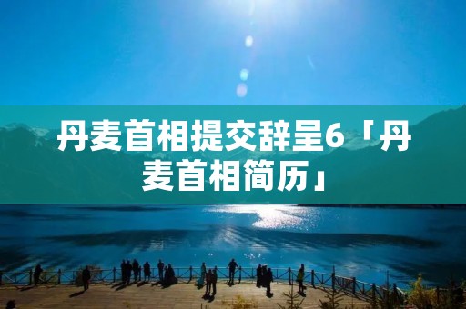 丹麦首相提交辞呈6「丹麦首相简历」 丹麦首相提交辞呈6「丹麦首相简历」