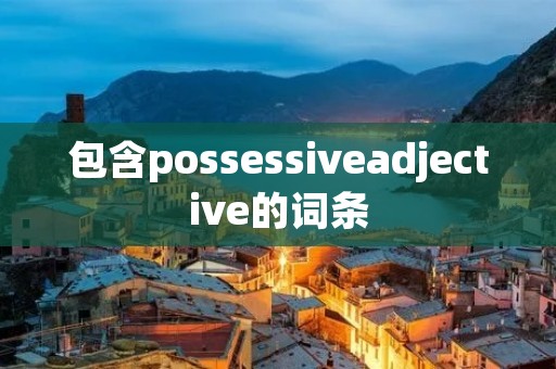 包含possessiveadjective的词条