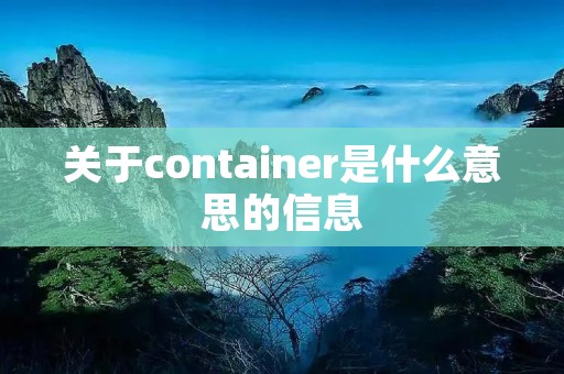 关于container是什么意思的信息