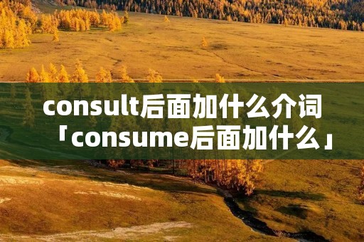 consult后面加什么介词「consume后面加什么」