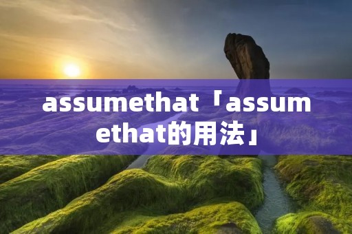 assumethat「assumethat的用法」