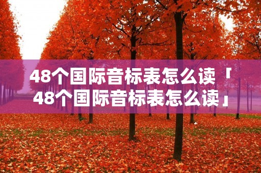48个国际音标表怎么读「48个国际音标表怎么读」