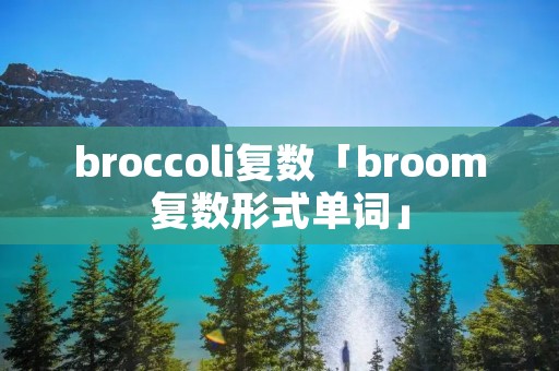 broccoli复数「broom复数形式单词」