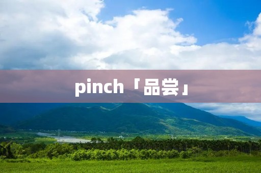 pinch「品尝」