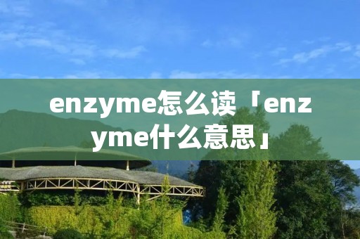 enzyme怎么读「enzyme什么意思」 enzyme怎么读「enzyme什么意思」