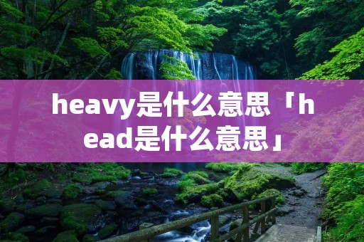 heavy是什么意思「head是什么意思」