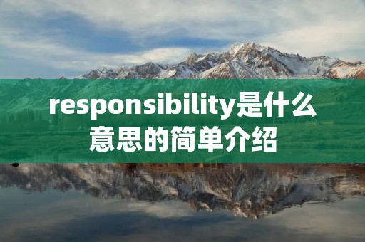 responsibility是什么意思的简单介绍
