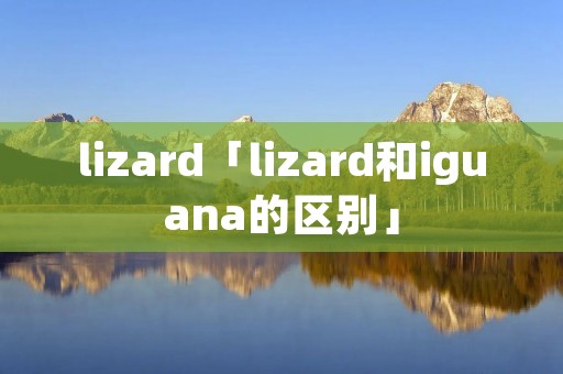lizard「lizard和iguana的区别」