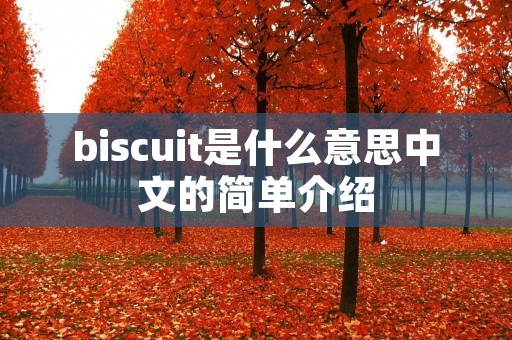 biscuit是什么意思中文的简单介绍 biscuit是什么意思中文的简单介绍