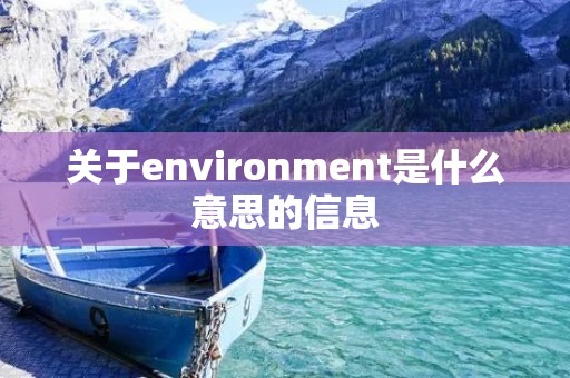 关于environment是什么意思的信息