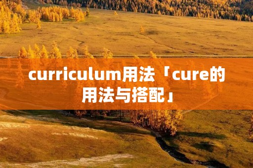 curriculum用法「cure的用法与搭配」