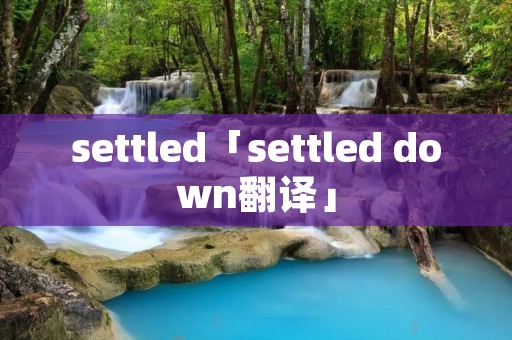 settled「settled down翻译」
