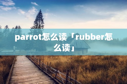 parrot怎么读「rubber怎么读」 parrot怎么读「rubber怎么读」