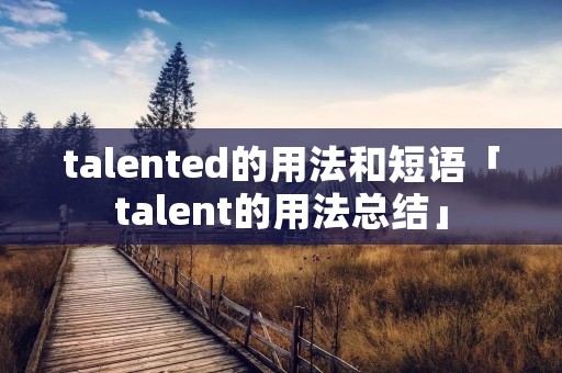 talented的用法和短语「talent的用法总结」