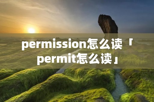 permission怎么读「permit怎么读」