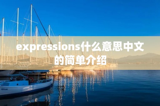 expressions什么意思中文的简单介绍