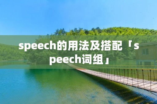 speech的用法及搭配「speech词组」