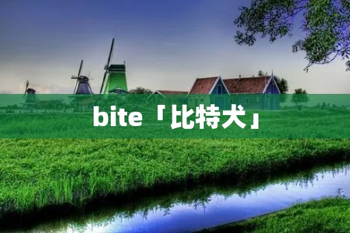bite「比特犬」 bite「比特犬」