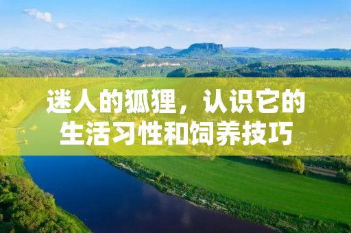 迷人的狐狸,认识它的生活习性和饲养技巧