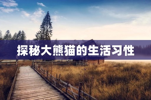 探秘大熊猫的生活习性