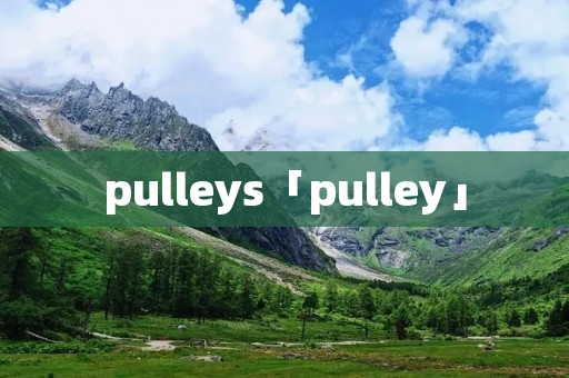 pulleys「pulley」 pulleys「pulley」