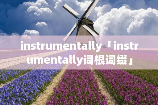 instrumentally「instrumentally词根词缀」