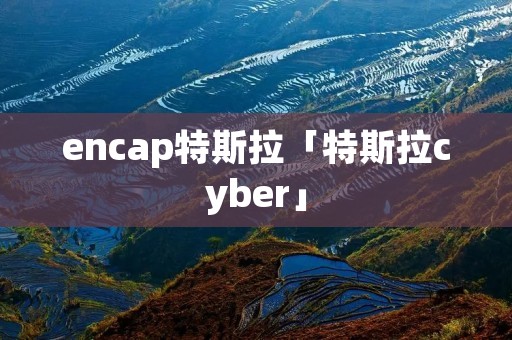 encap特斯拉「特斯拉cyber」