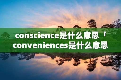 conscience是什么意思「conveniences是什么意思啊」 conscience是什么意思「conveniences是什么意思啊」