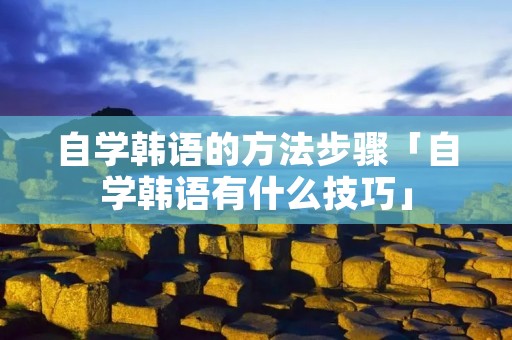自学韩语的方法步骤「自学韩语有什么技巧」