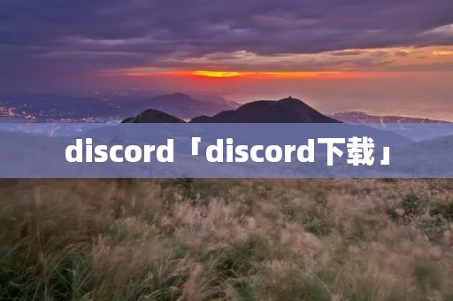 discord「discord下载」