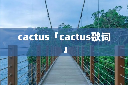 cactus「cactus歌词」 cactus「cactus歌词」