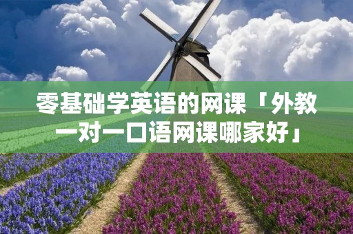 零基础学英语的网课「外教一对一口语网课哪家好」
