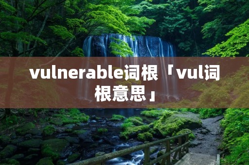 vulnerable词根「vul词根意思」