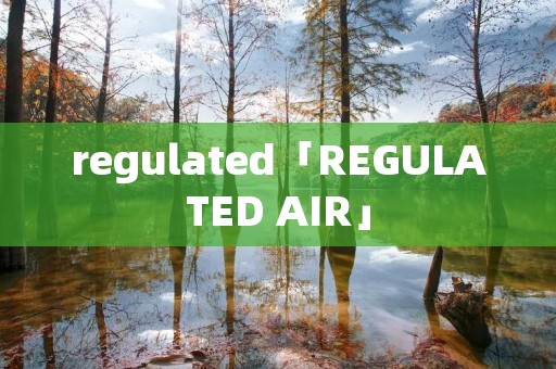 regulated「REGULATED AIR」