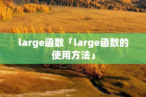 large函数「large函数的使用方法」