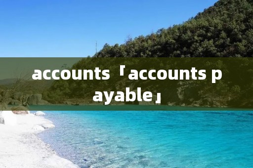 accounts「accounts payable」