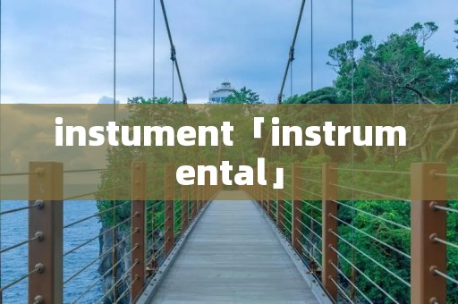 instument「instrumental」
